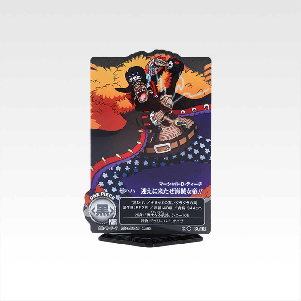 【Collab Straw Hat Store】 ACLLECT -One Piece- ~Yarou~ - Photo 11