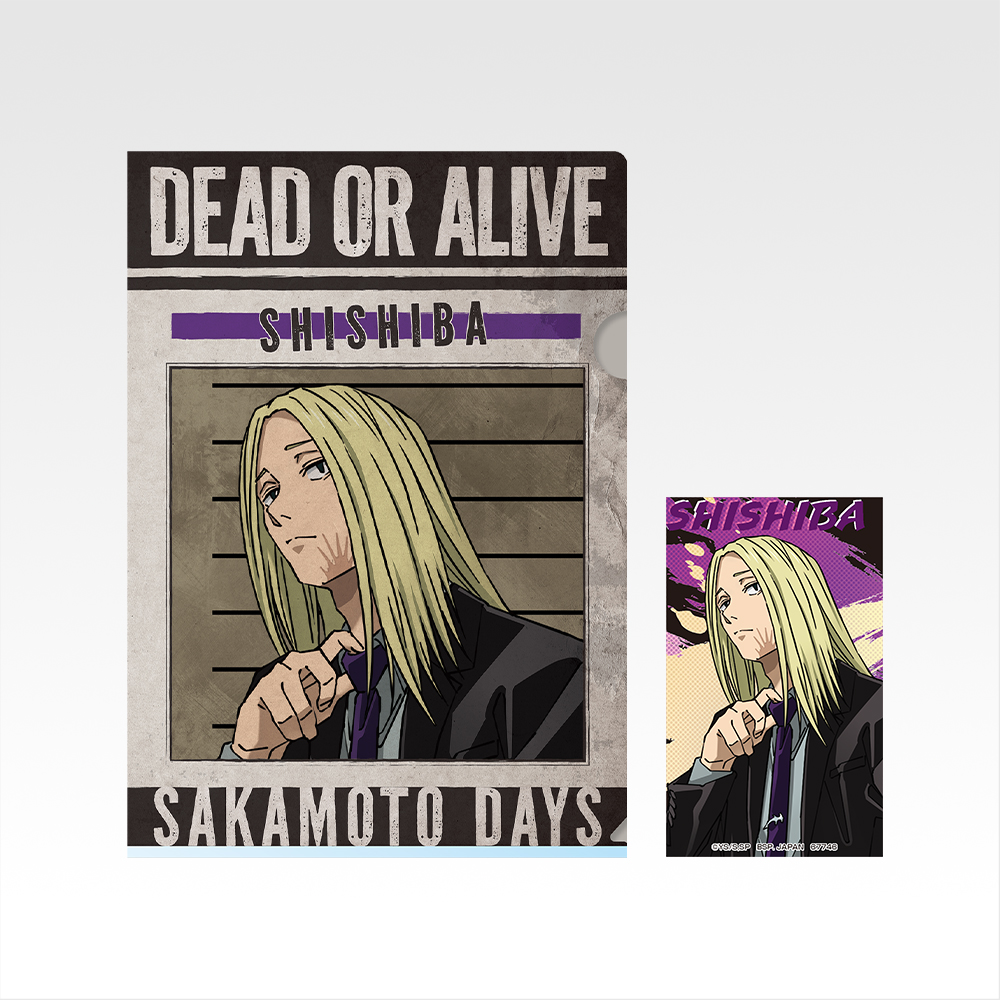 Set de clear file et stickers - Photo 4