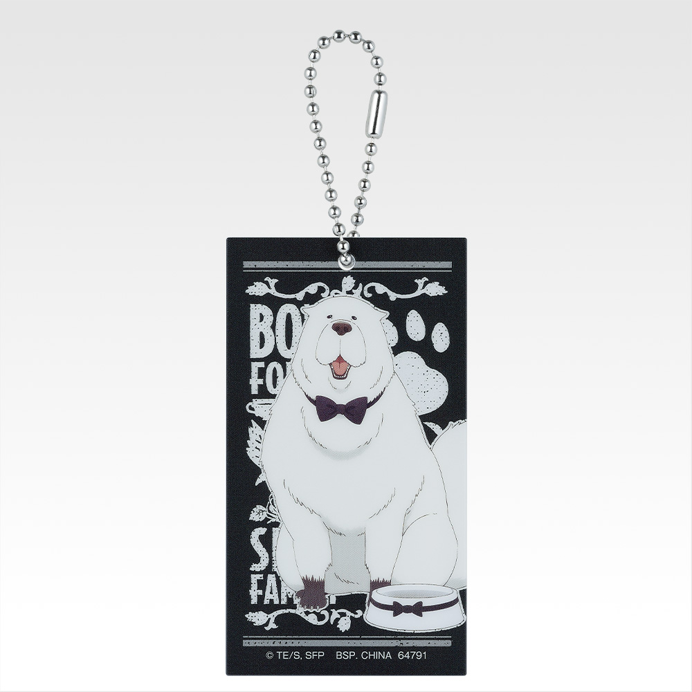 Charm acrylique - Photo 4