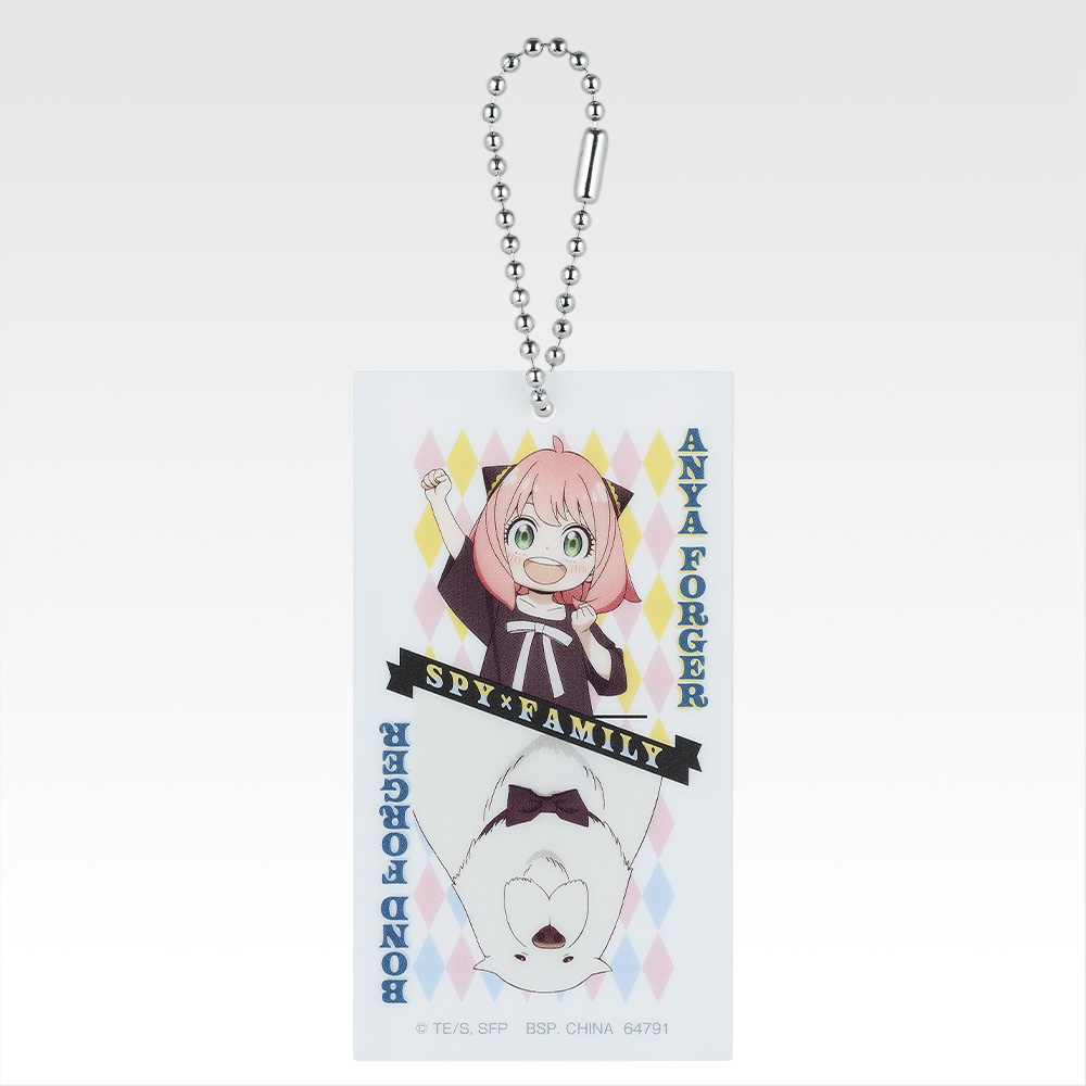 Charm acrylique - Photo 5