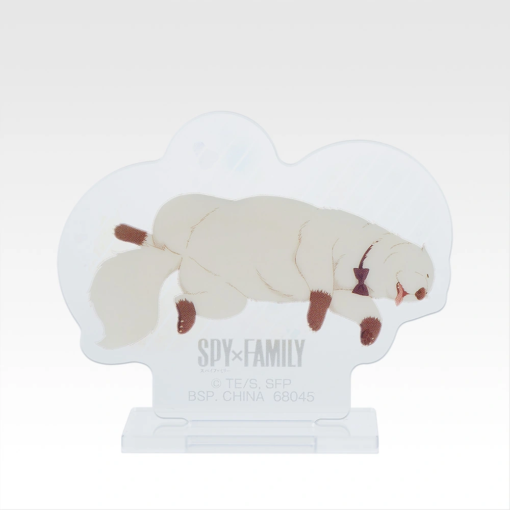 Stand acrylique - Photo 6