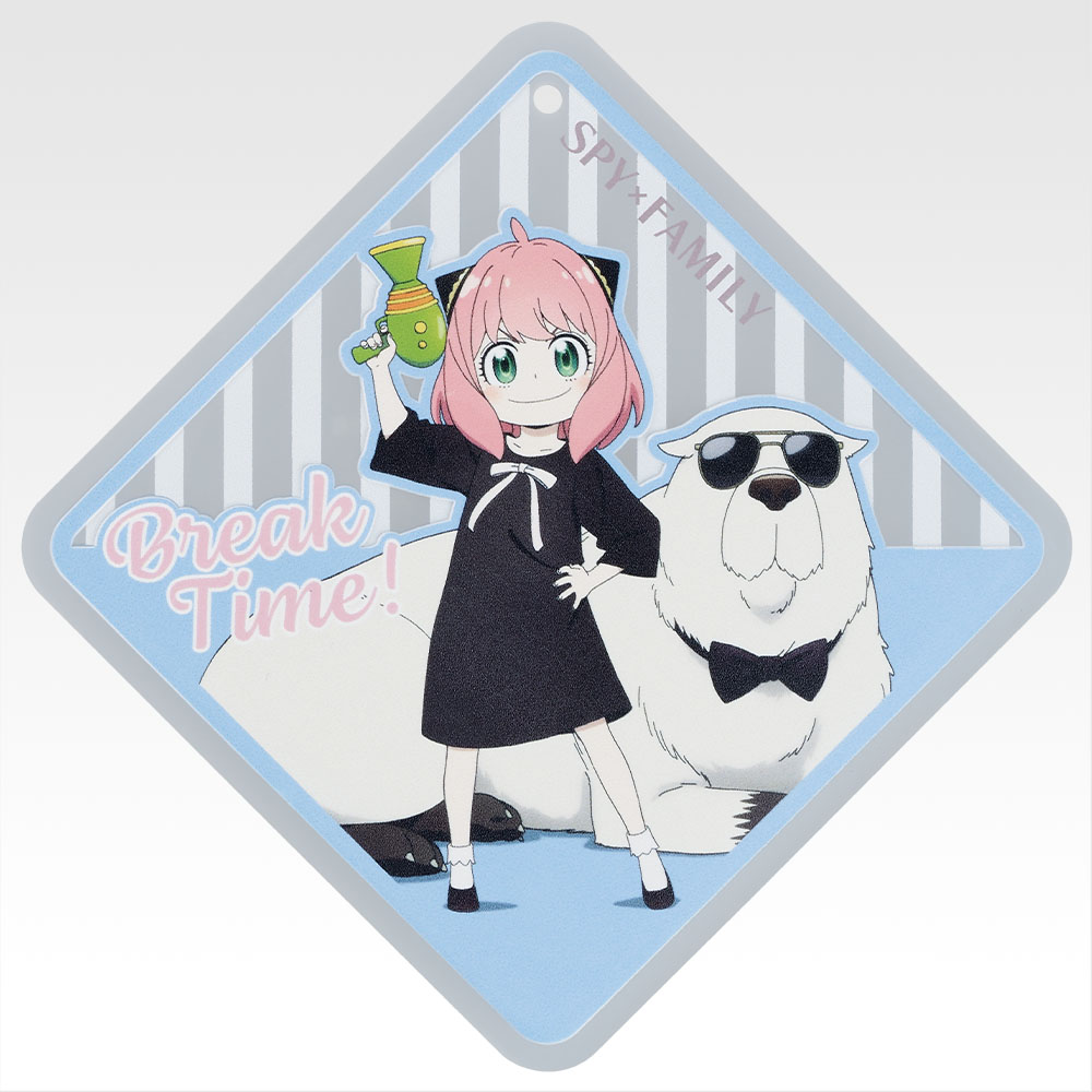 Rubber Coaster - Photo 7