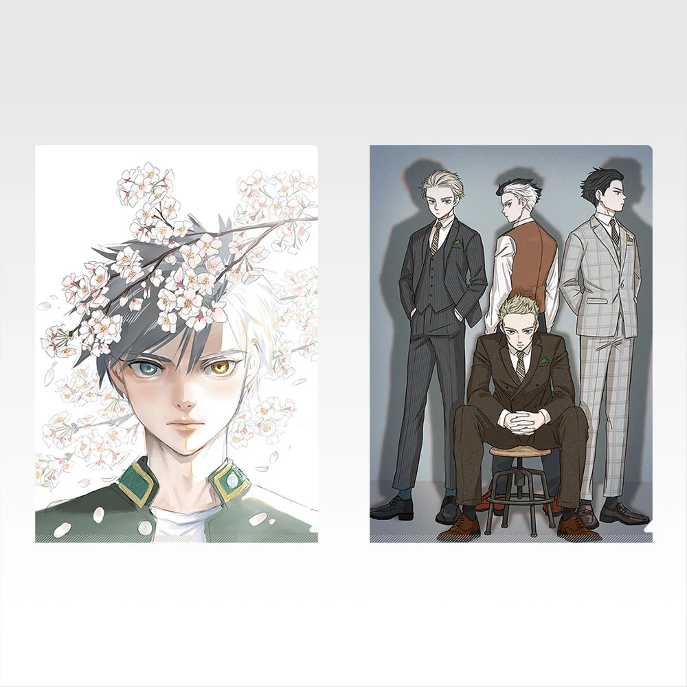 Set de clear files - Photo 7