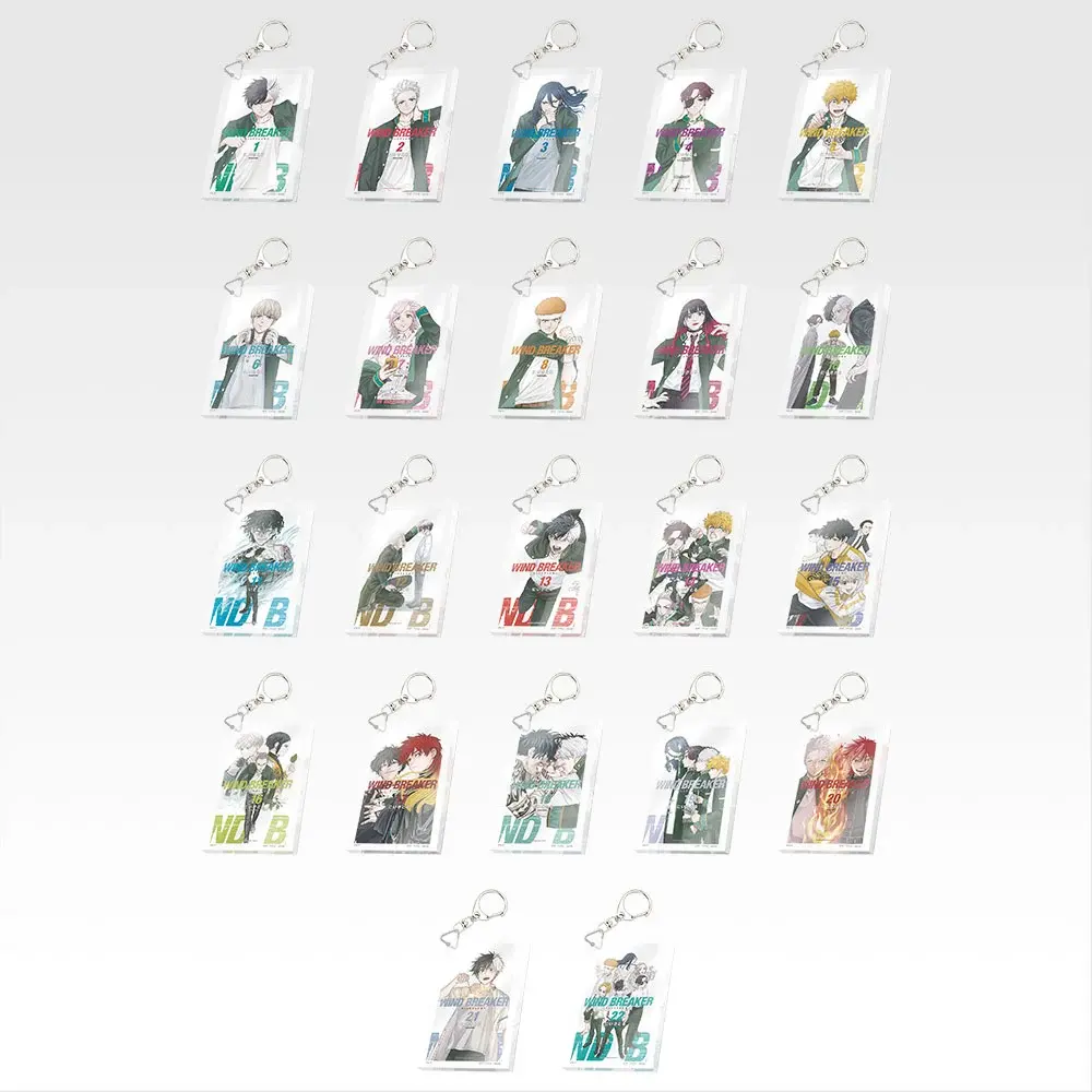 Lot F - Porte-cles acryliques couvertures tomes (visuel)